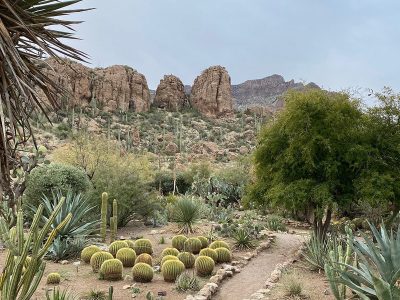 boyce thompson arboretum